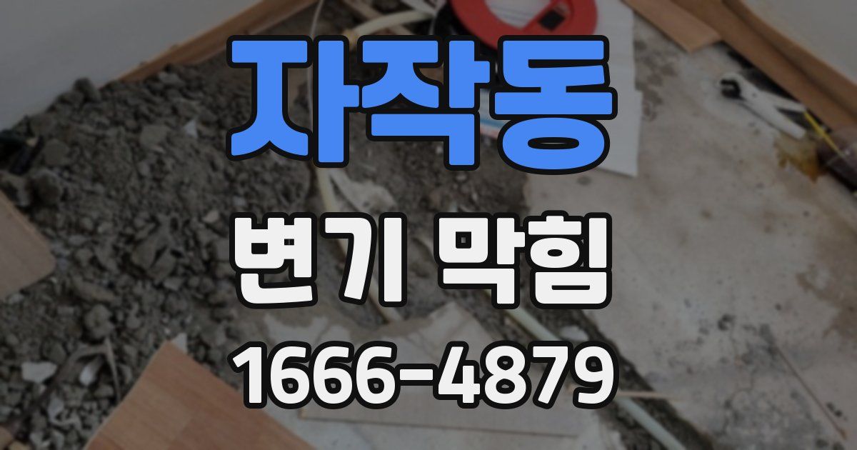 자작동 변기 막힘