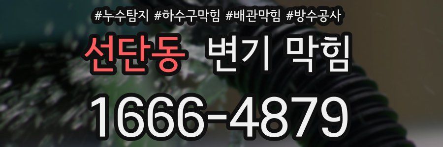 선단동 변기 막힘