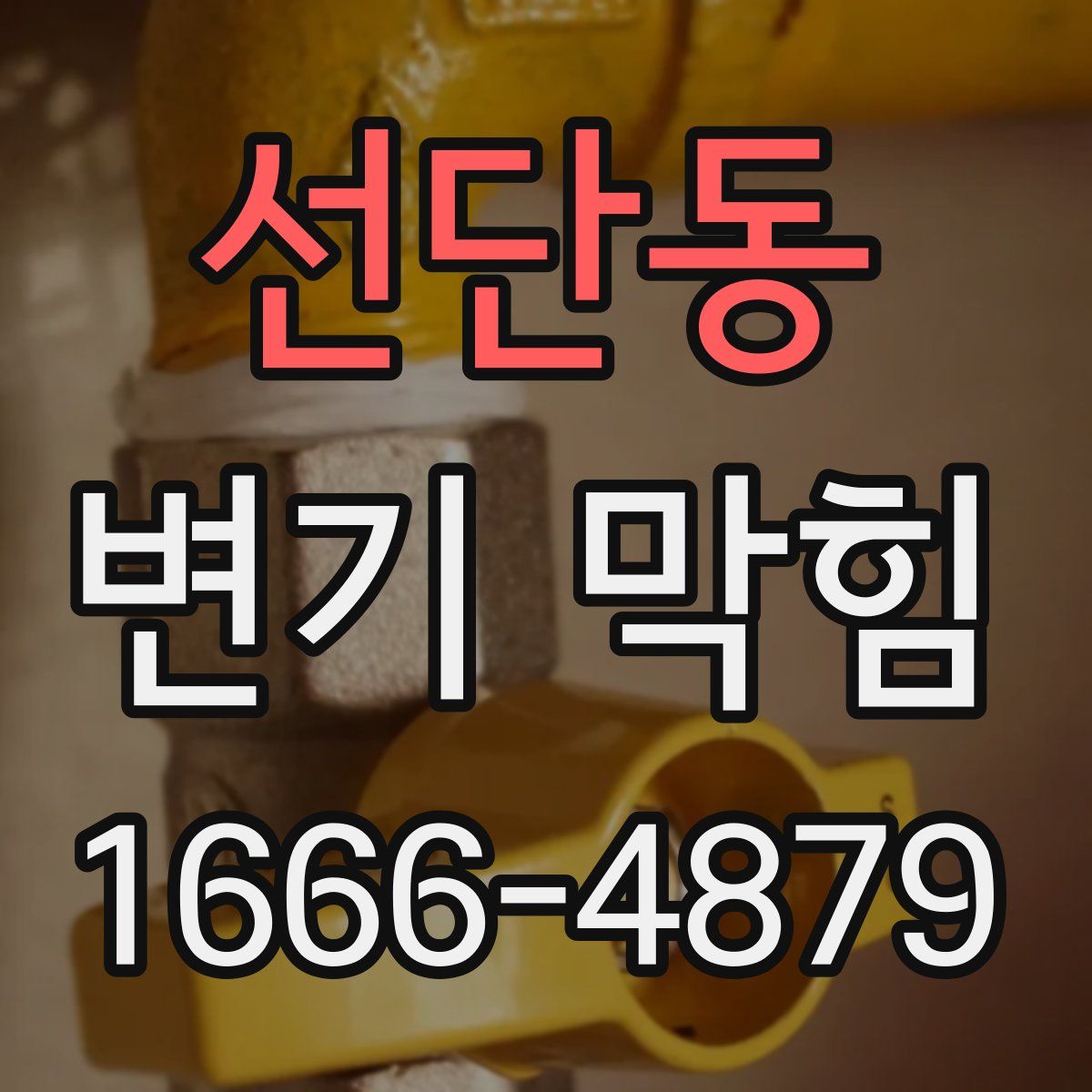 선단동 변기 막힘