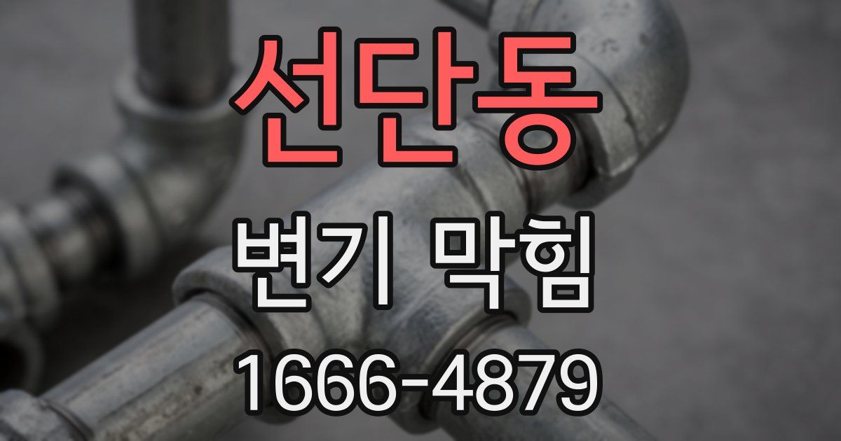 선단동 변기 막힘