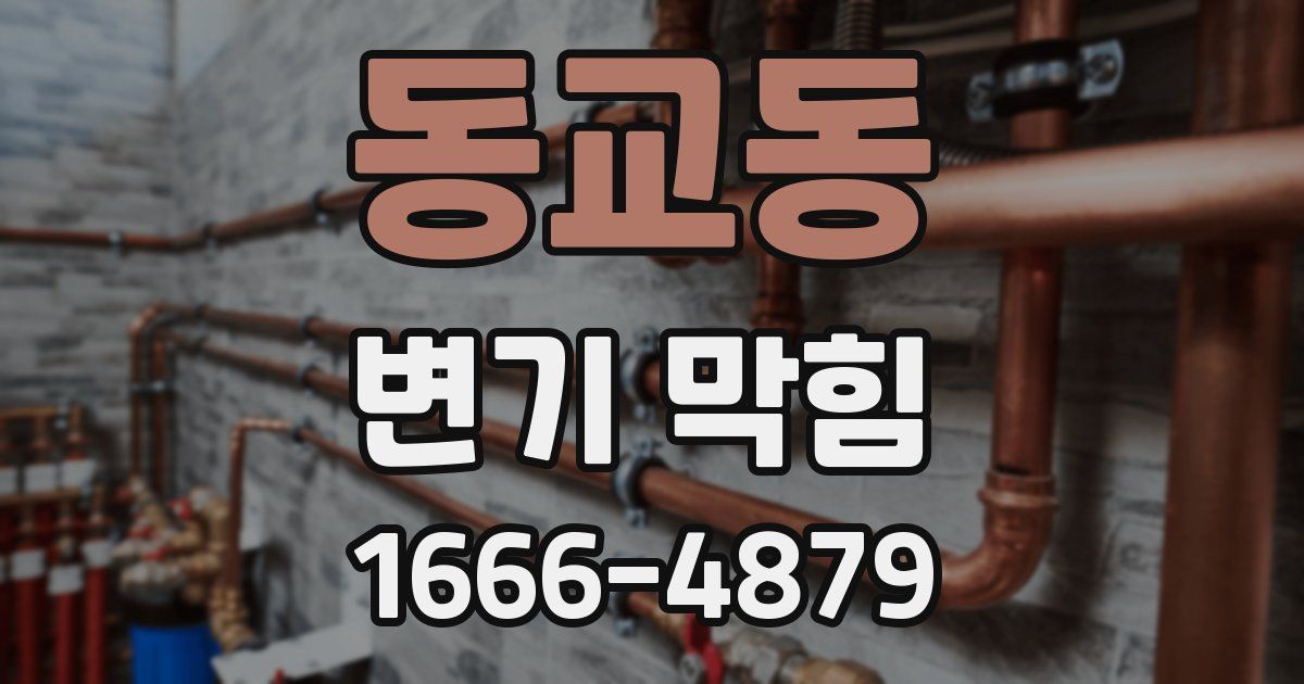 동교동 변기 막힘