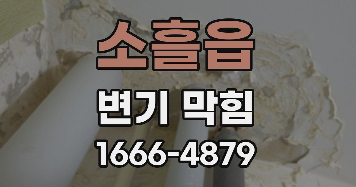 소흘읍 변기 막힘