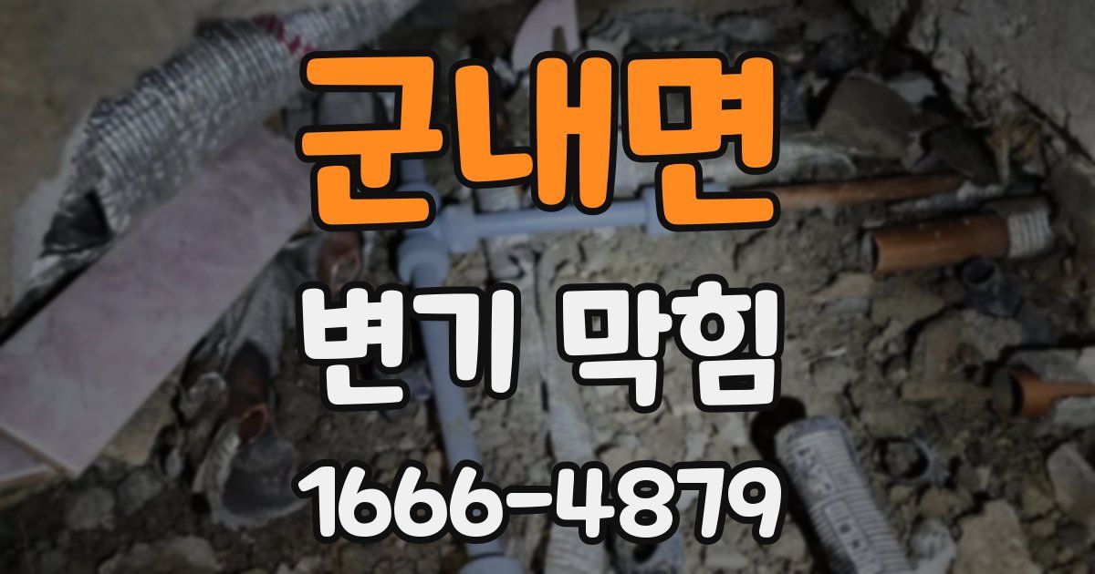 군내면 변기 막힘