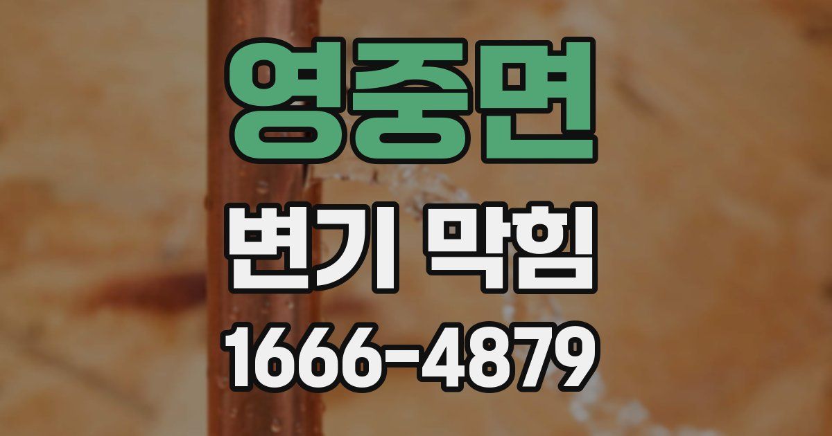 영중면 변기 막힘