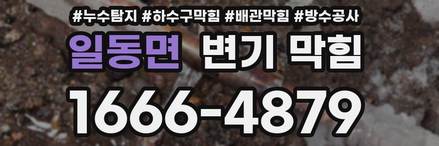 일동면 변기 막힘