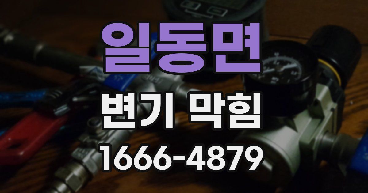 일동면 변기 막힘