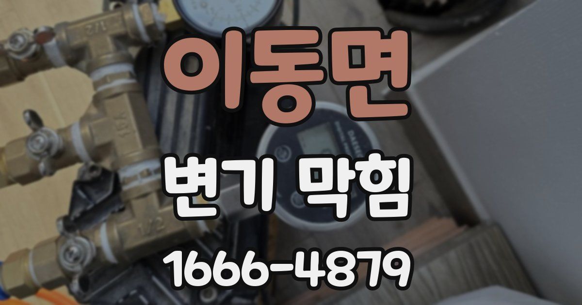 이동면 변기 막힘
