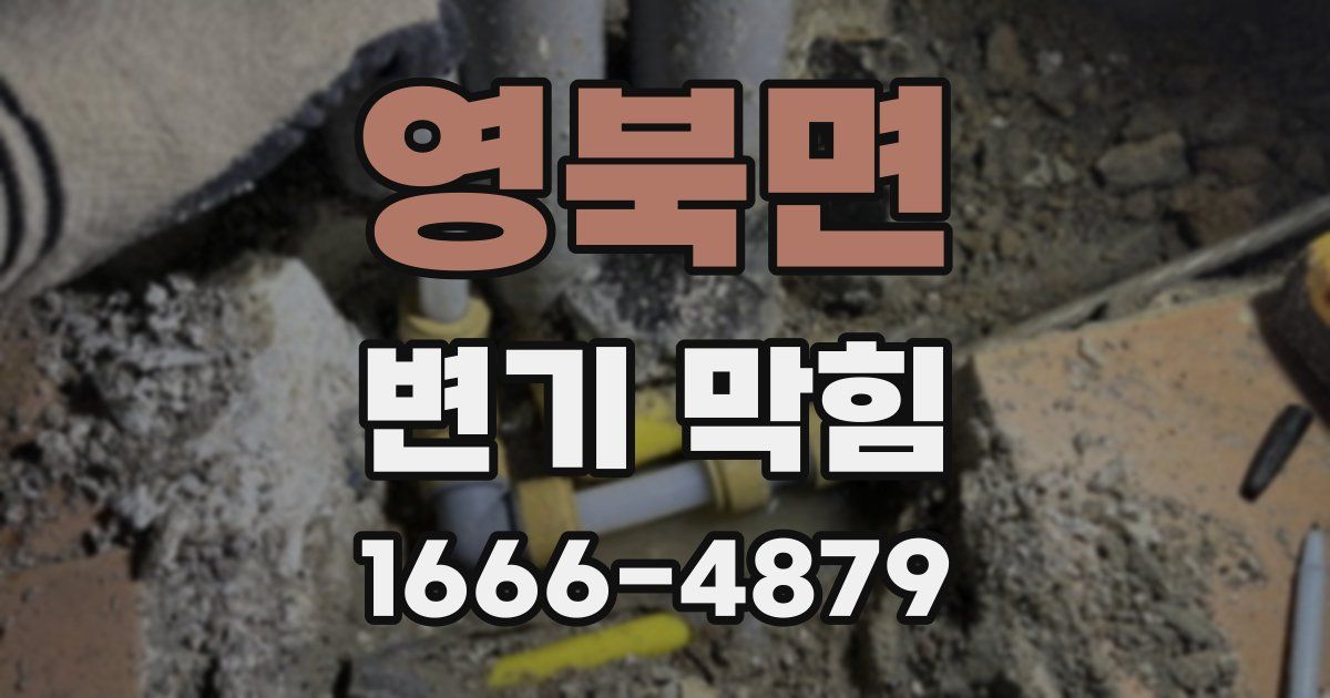 영북면 변기 막힘