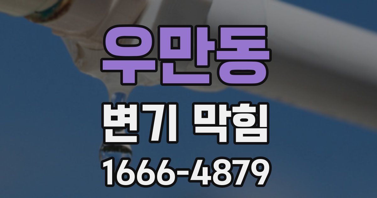 우만동 변기 막힘