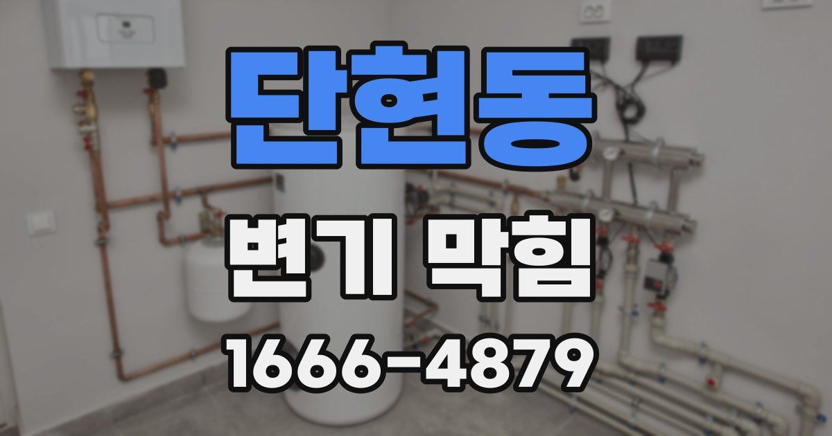 단현동 변기 막힘