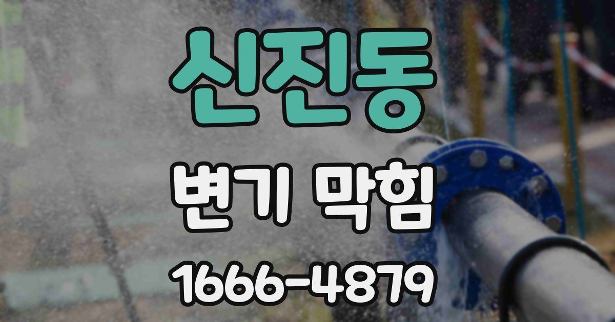 신진동 변기 막힘
