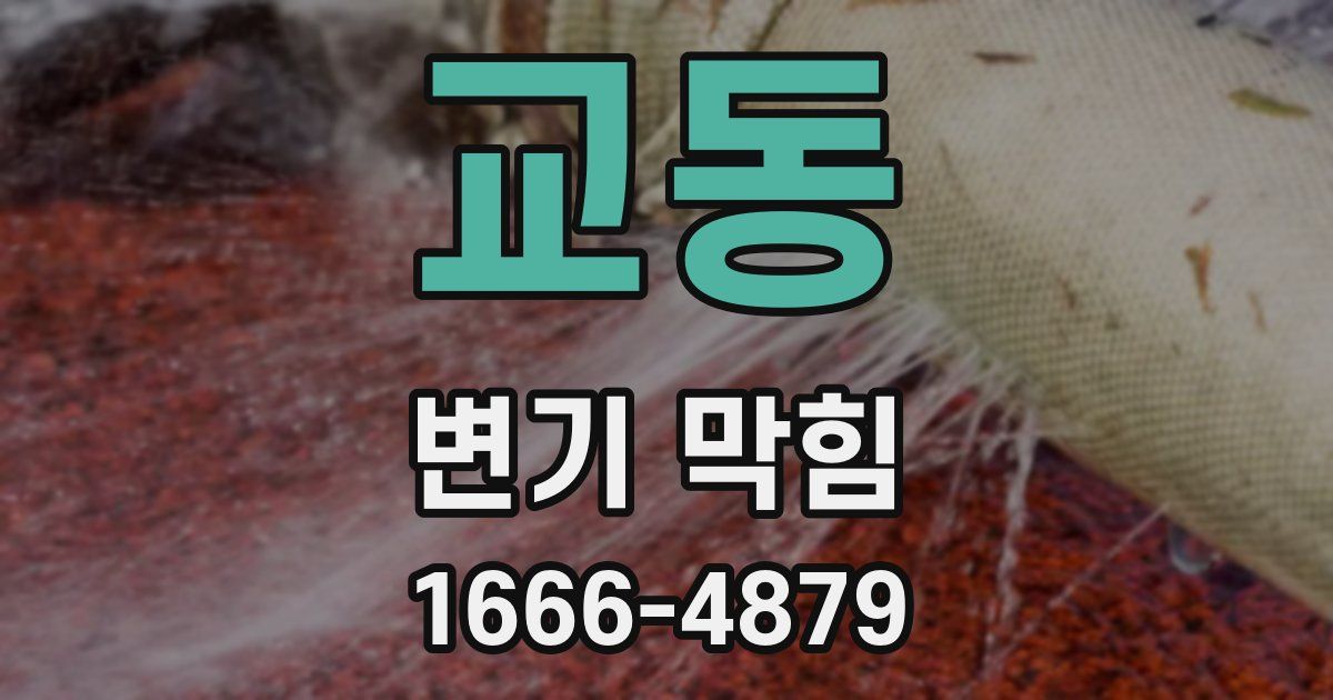 교동 변기 막힘