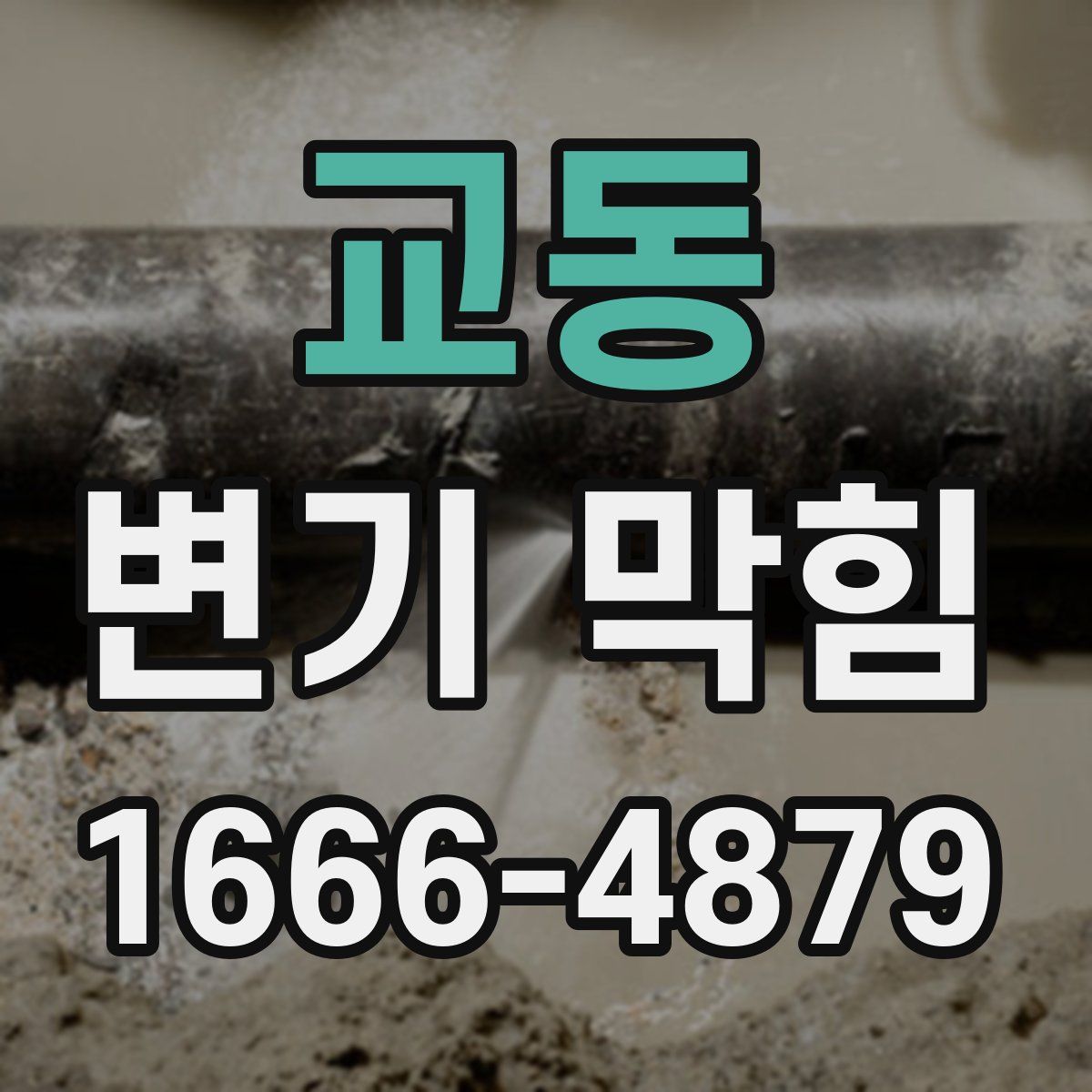교동 변기 막힘