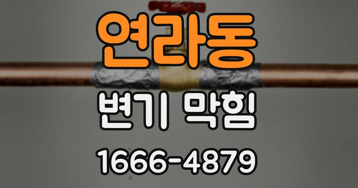 연라동 변기 막힘