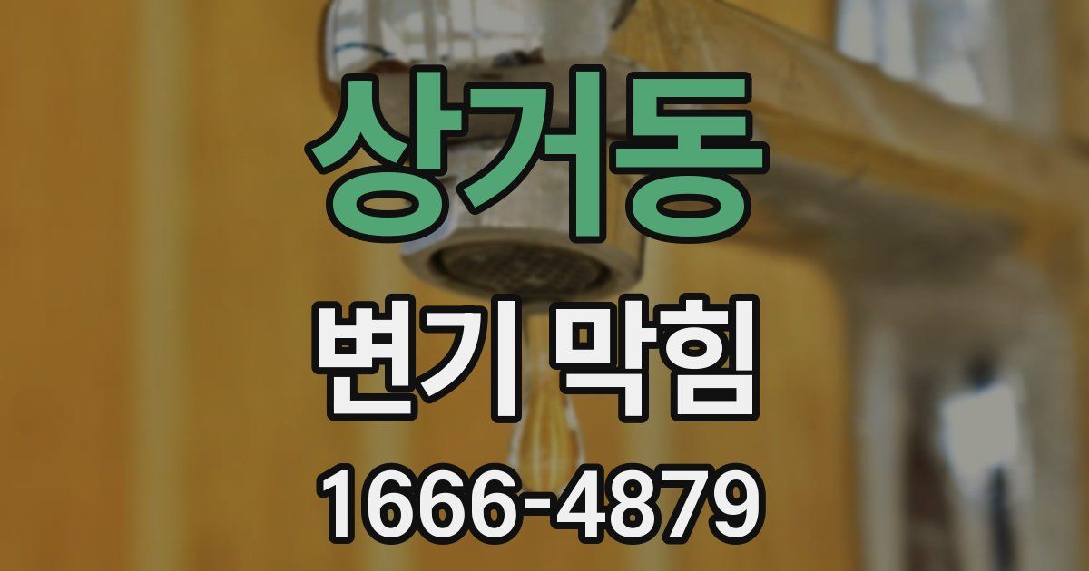 상거동 변기 막힘