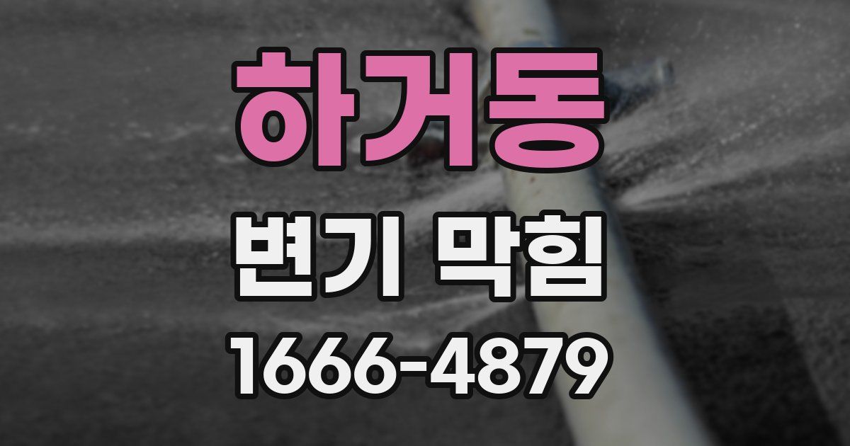 하거동 변기 막힘