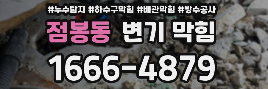 점봉동 변기 막힘