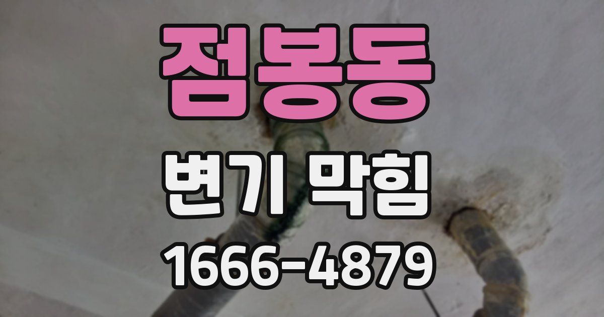 점봉동 변기 막힘