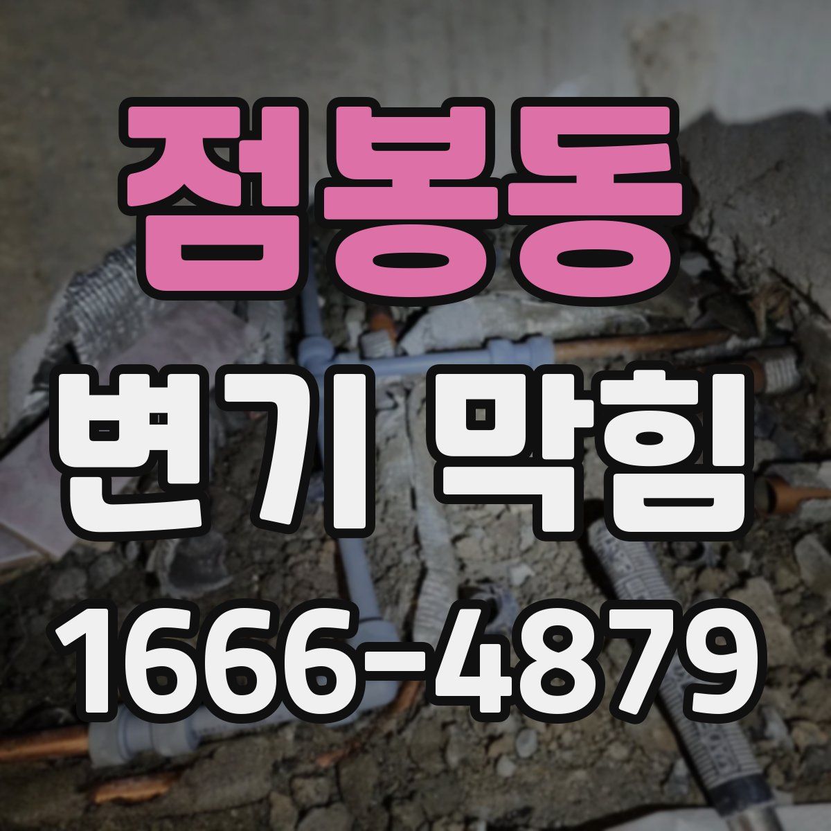 점봉동 변기 막힘
