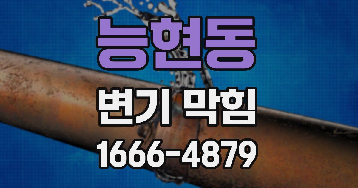 능현동 변기 막힘