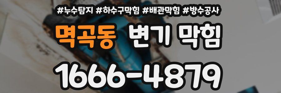 멱곡동 변기 막힘