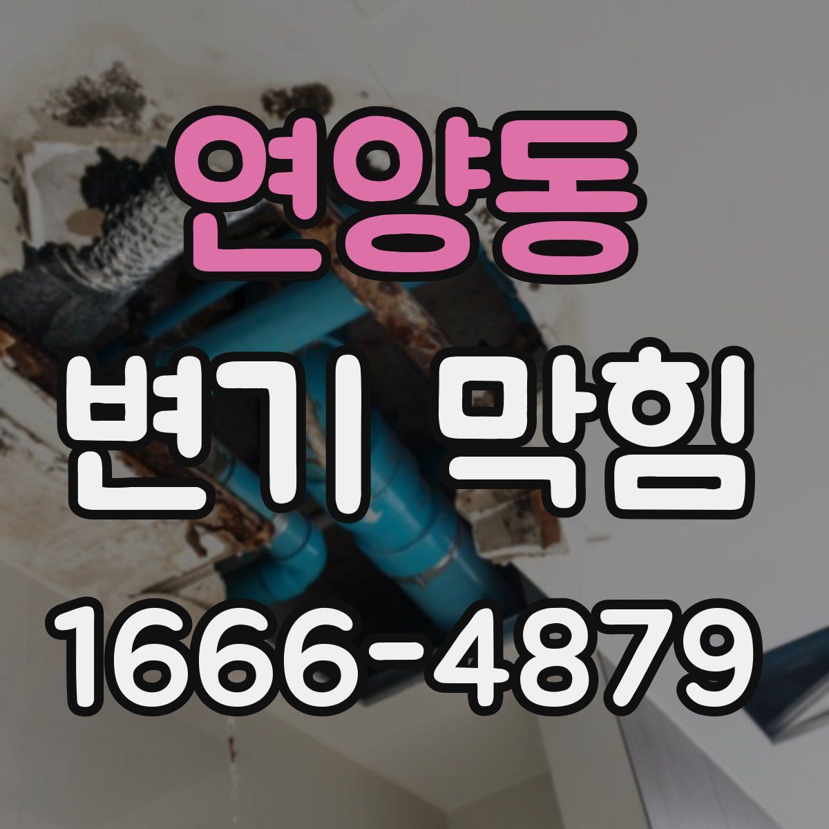 연양동 변기 막힘