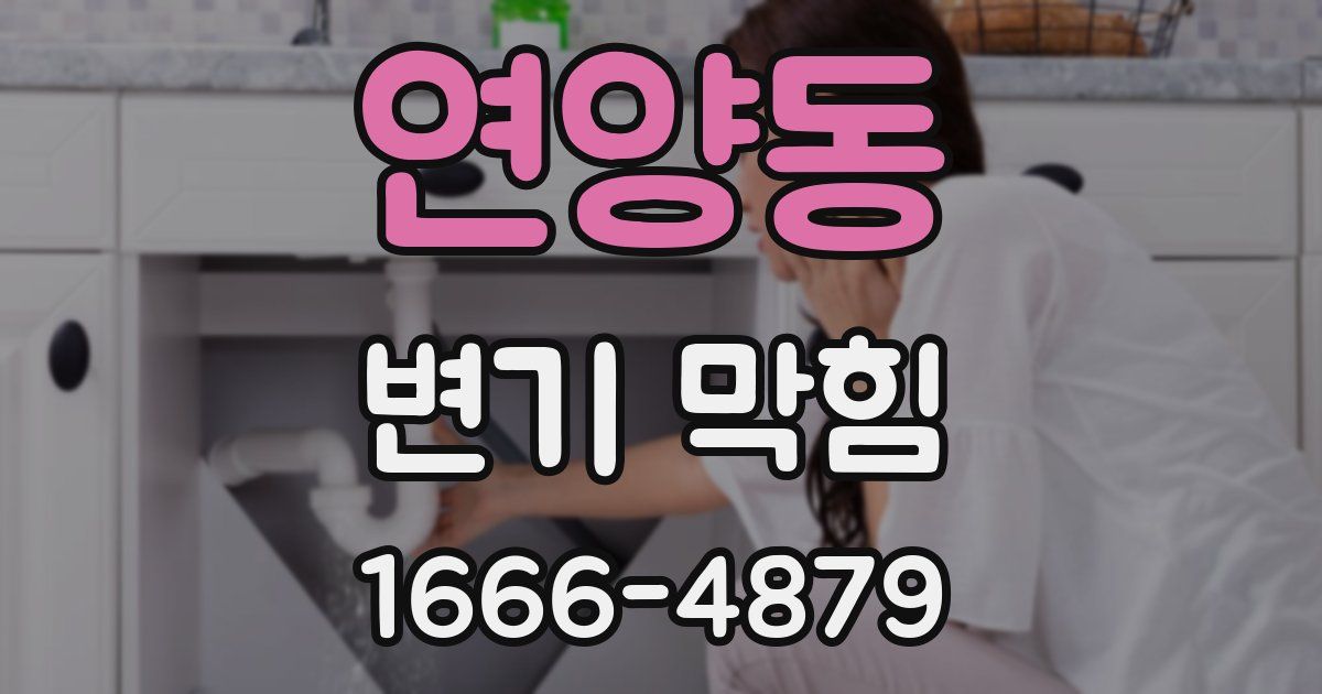 연양동 변기 막힘