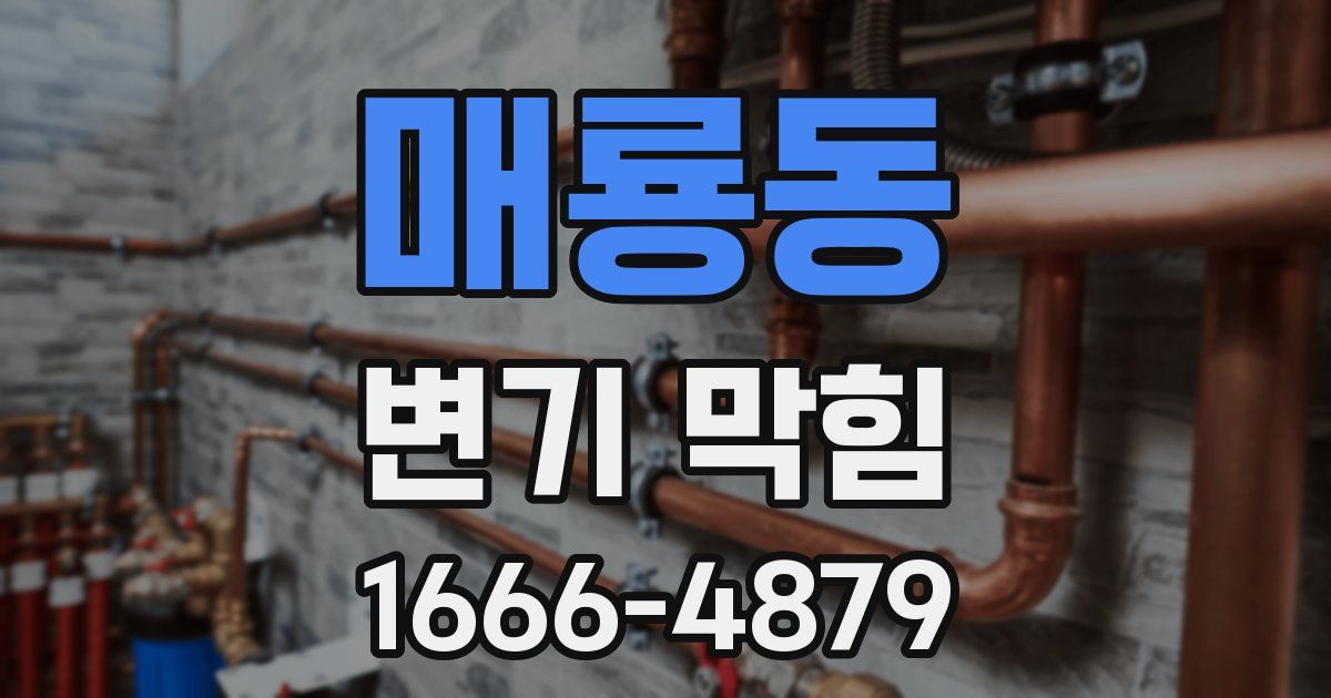 매룡동 변기 막힘