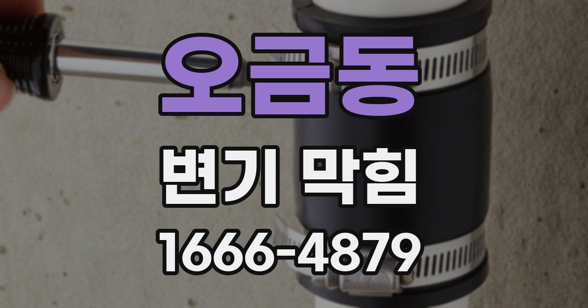 오금동 변기 막힘