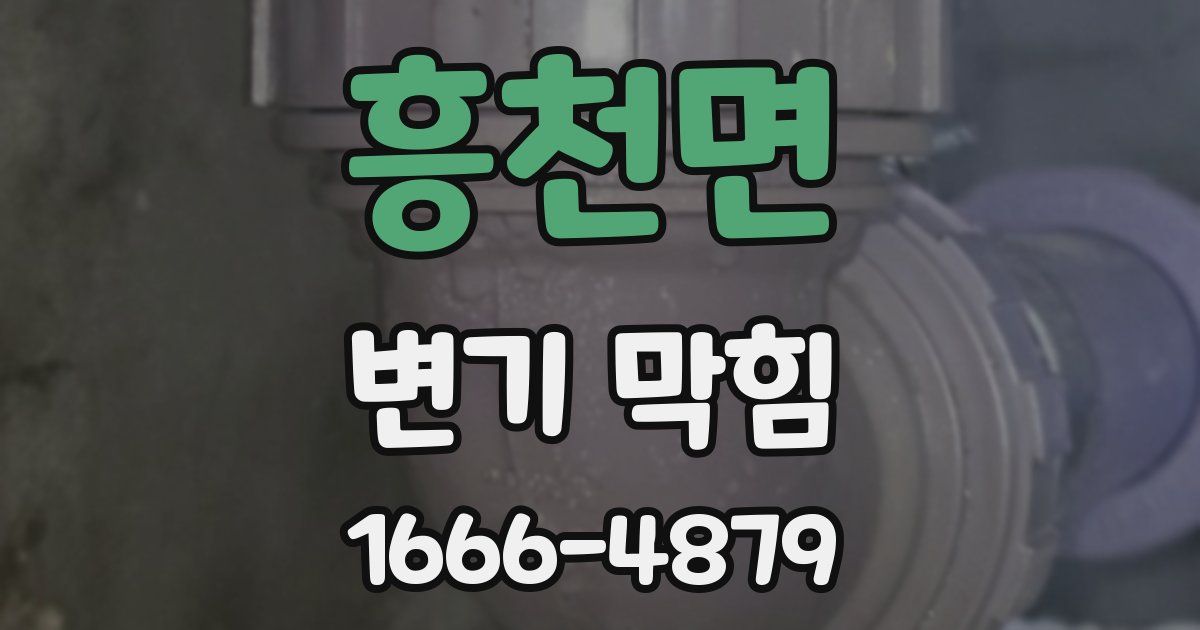 흥천면 변기 막힘