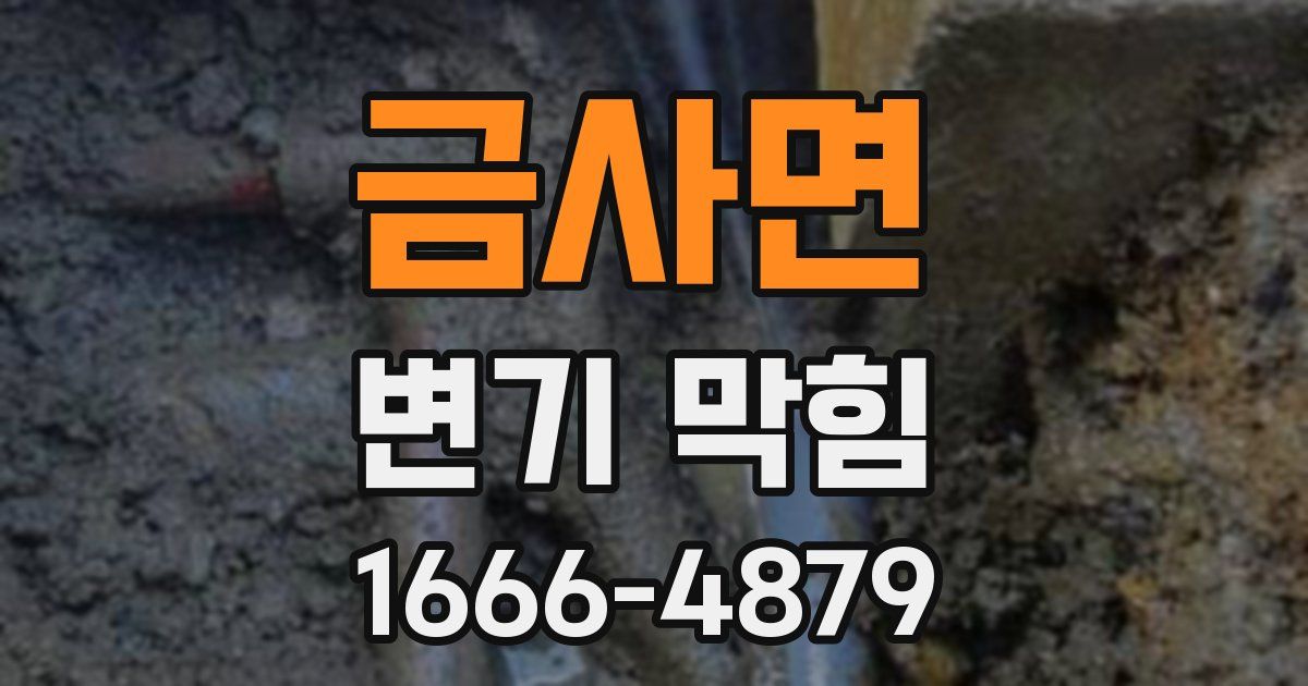 금사면 변기 막힘