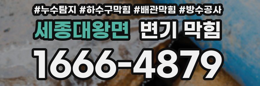 세종대왕면 변기 막힘