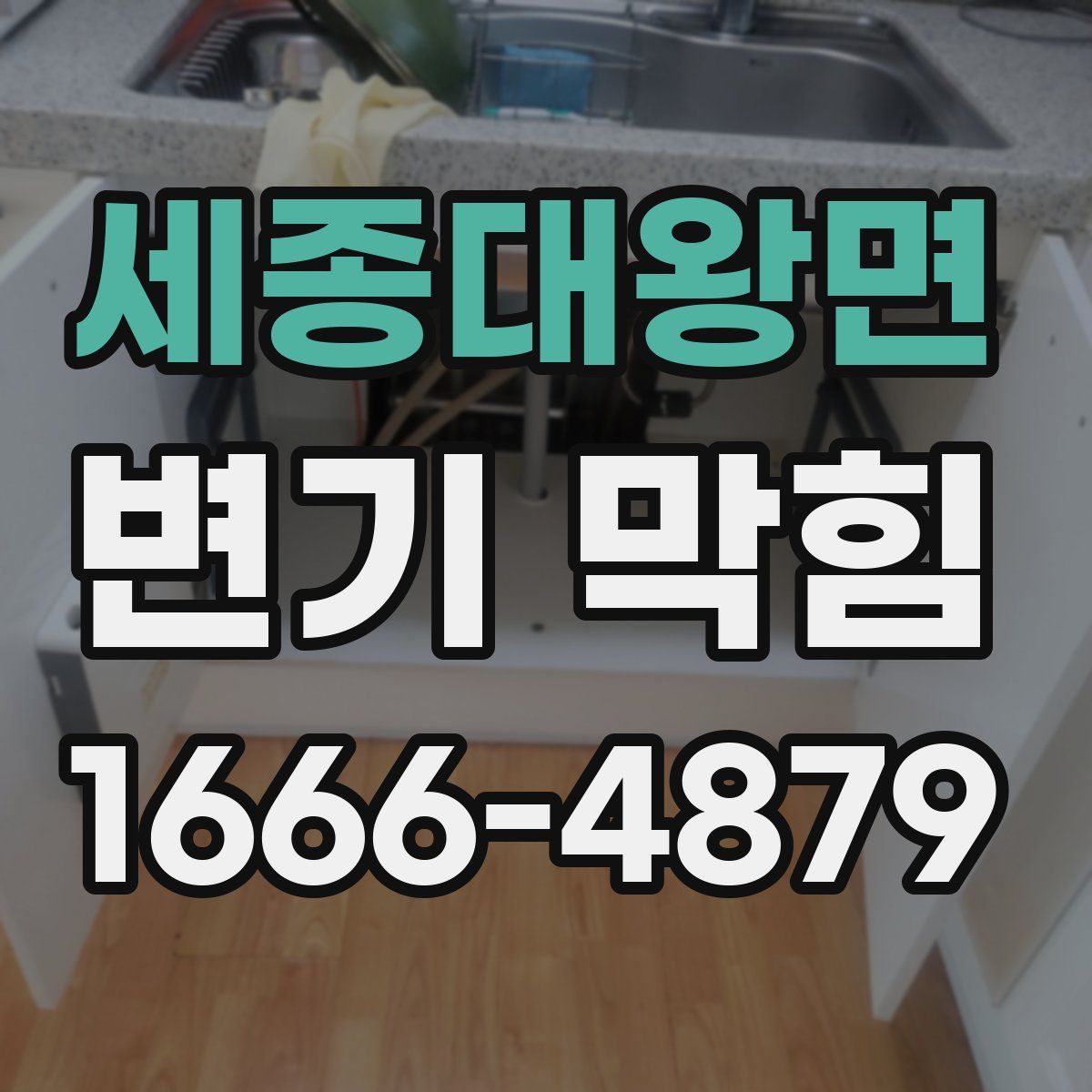세종대왕면 변기 막힘