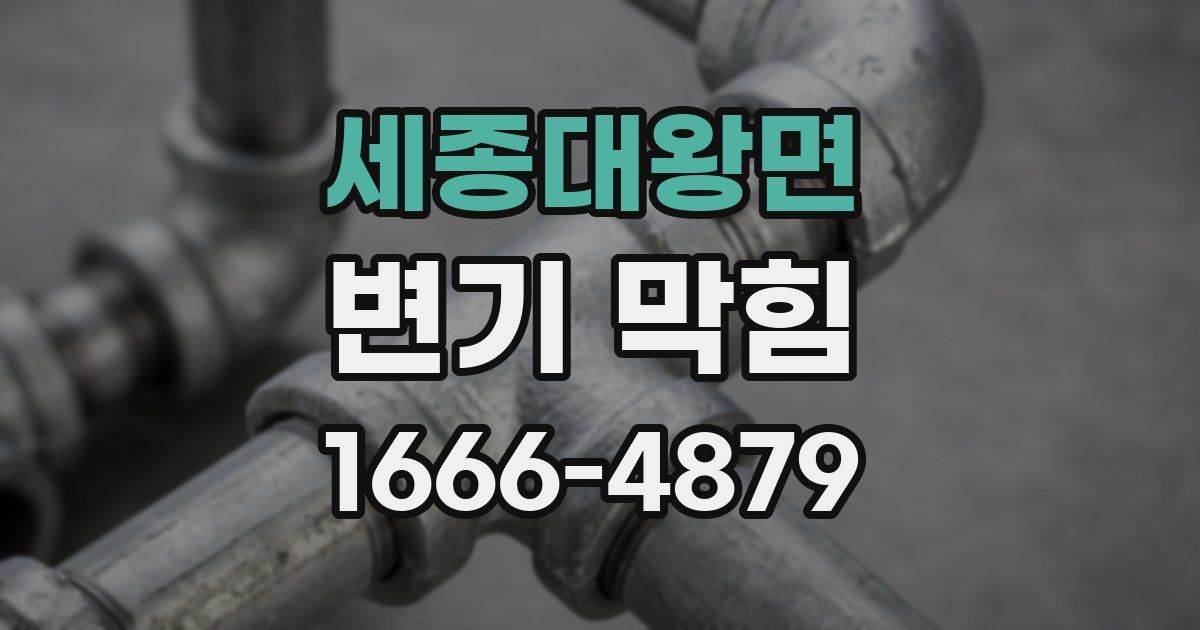 세종대왕면 변기 막힘
