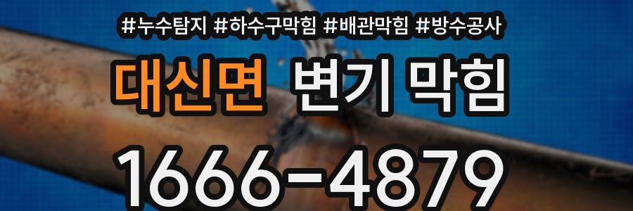 대신면 변기 막힘