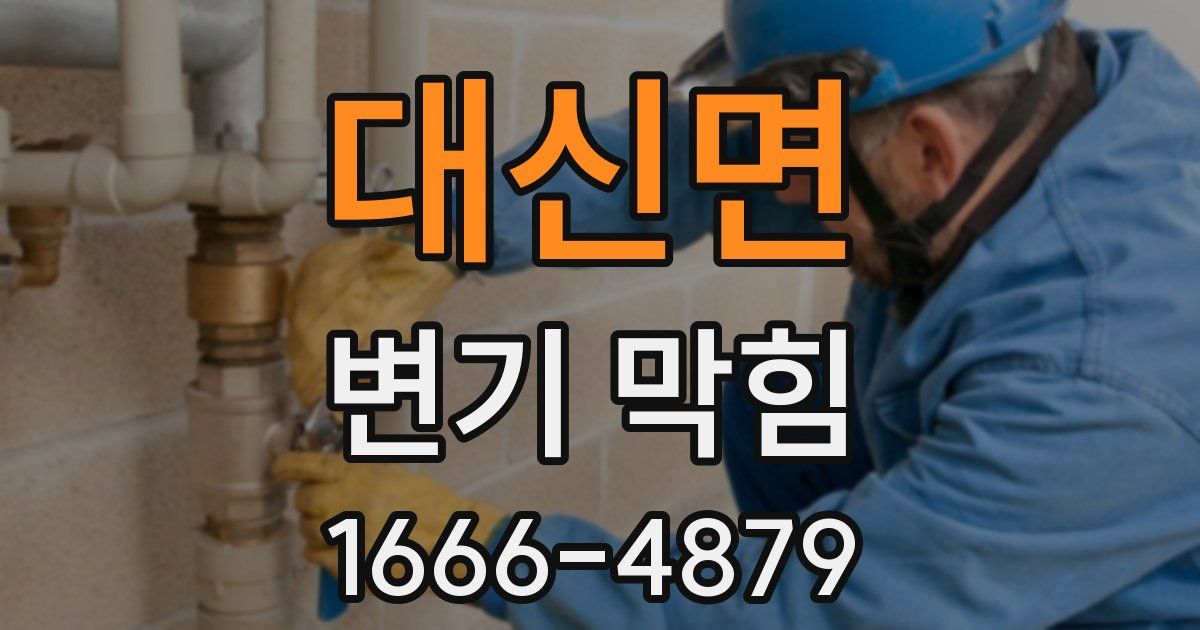 대신면 변기 막힘