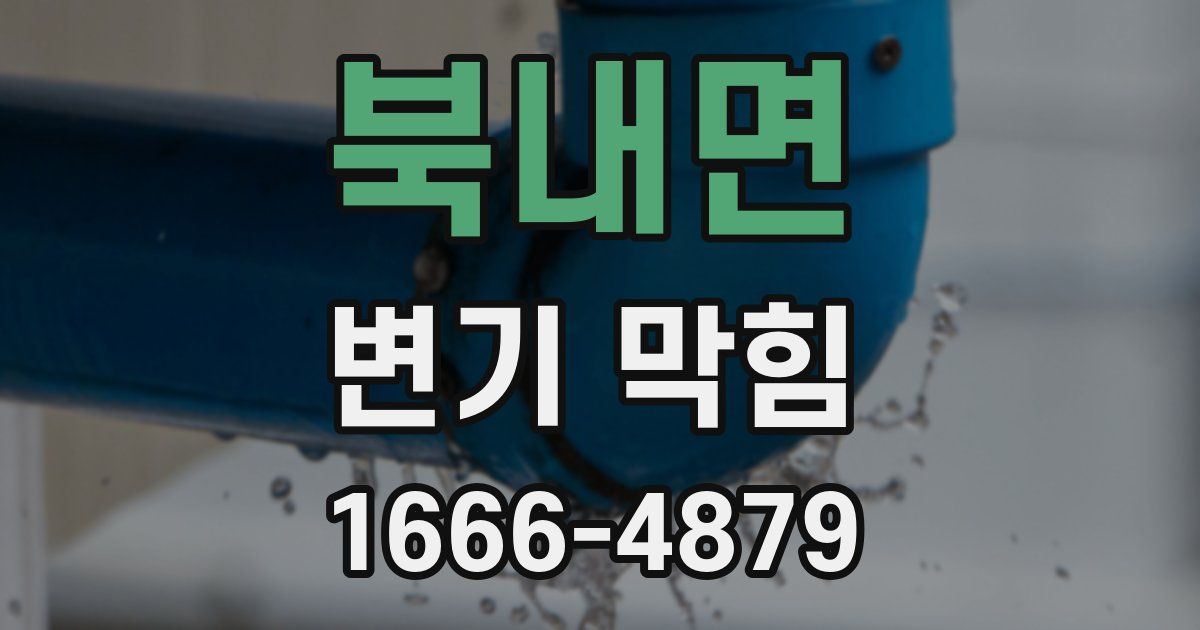 북내면 변기 막힘