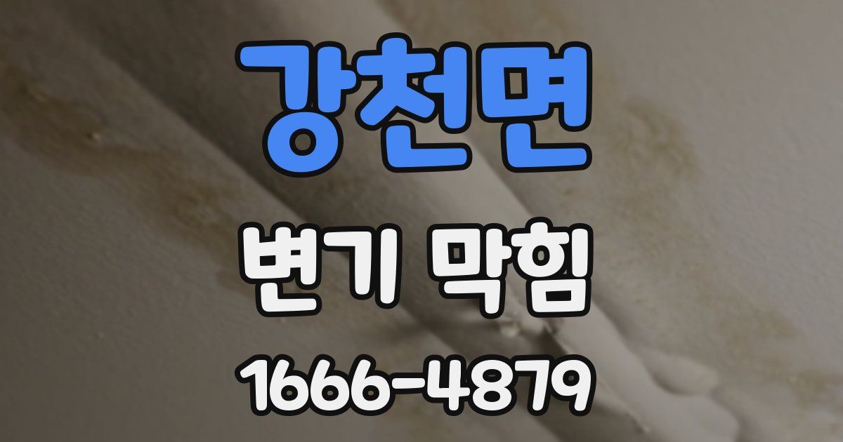 강천면 변기 막힘
