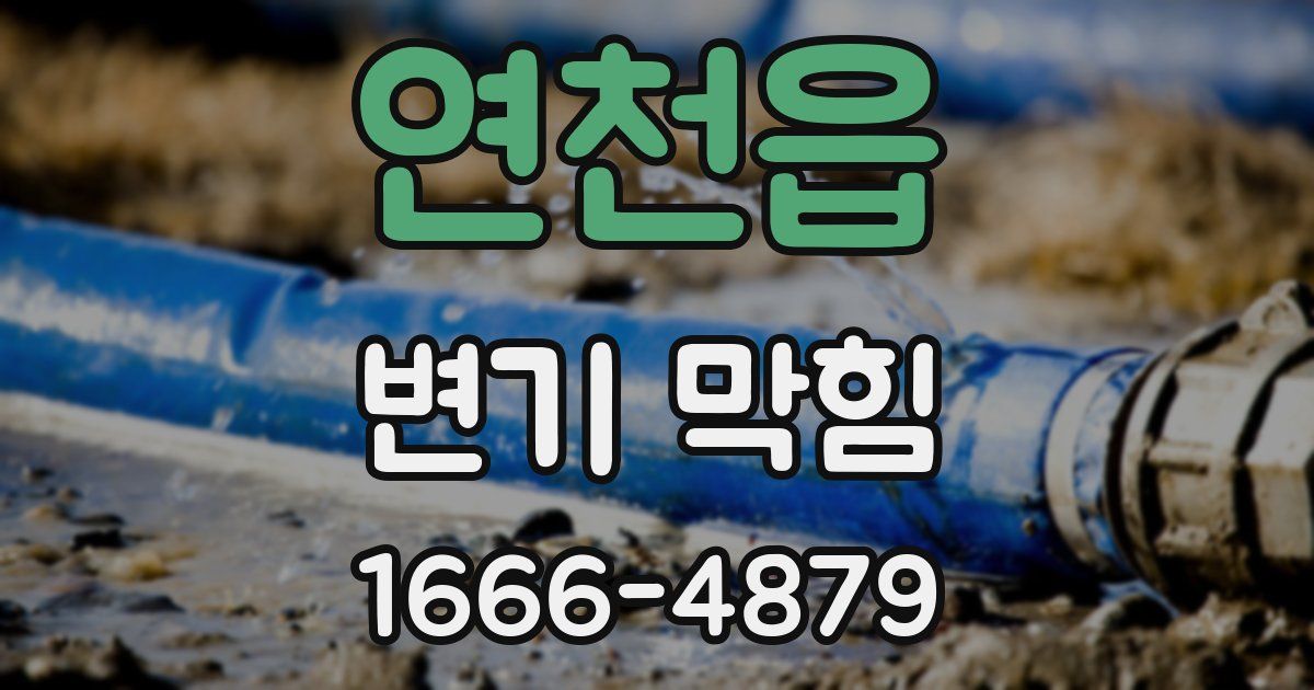 연천읍 변기 막힘