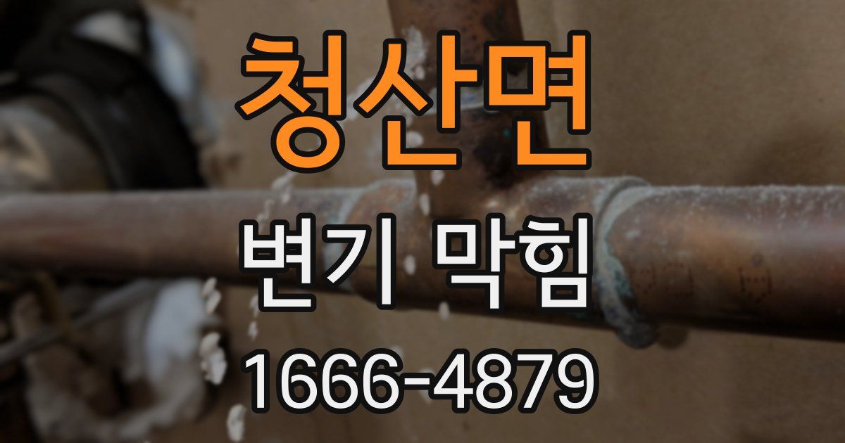 청산면 변기 막힘