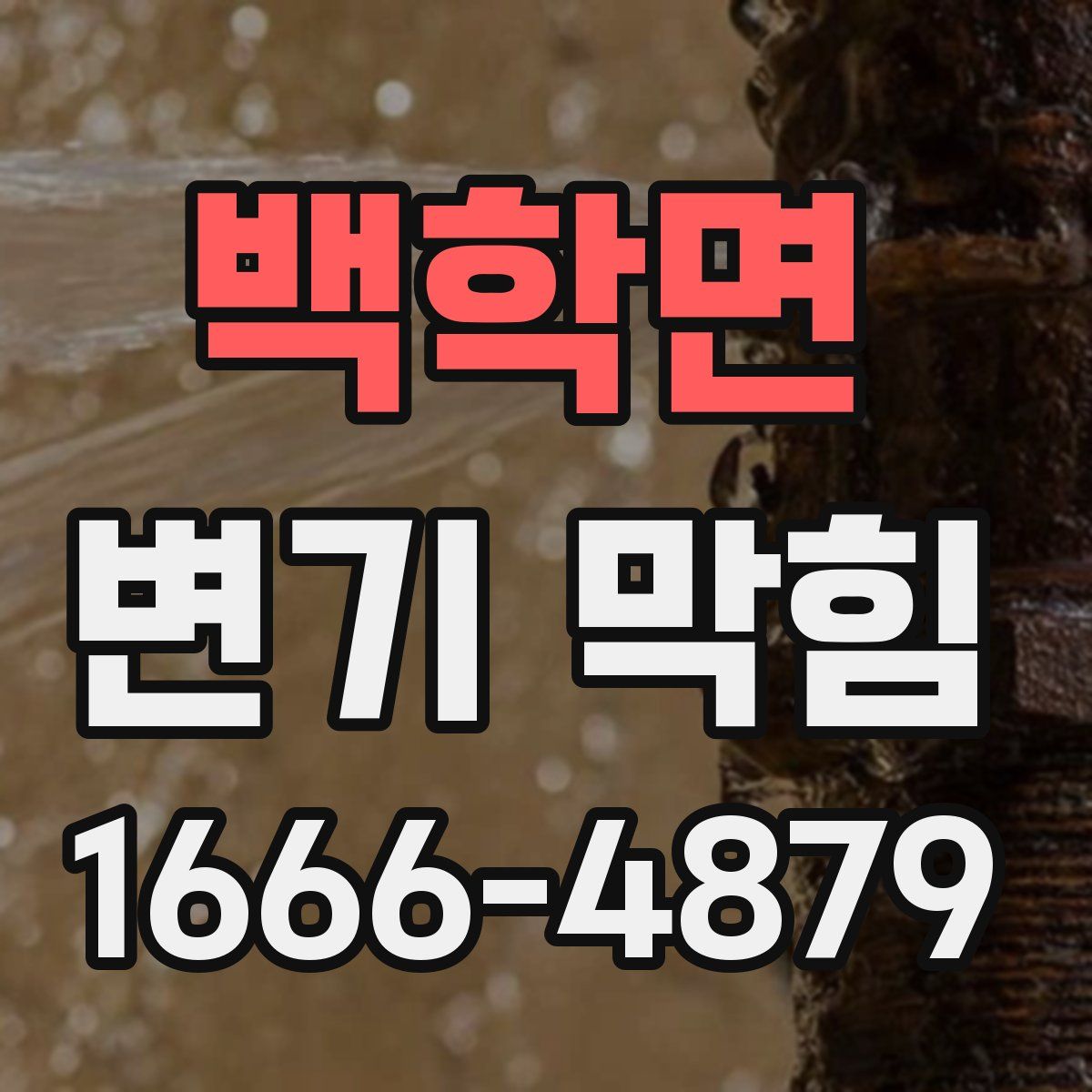 백학면 변기 막힘