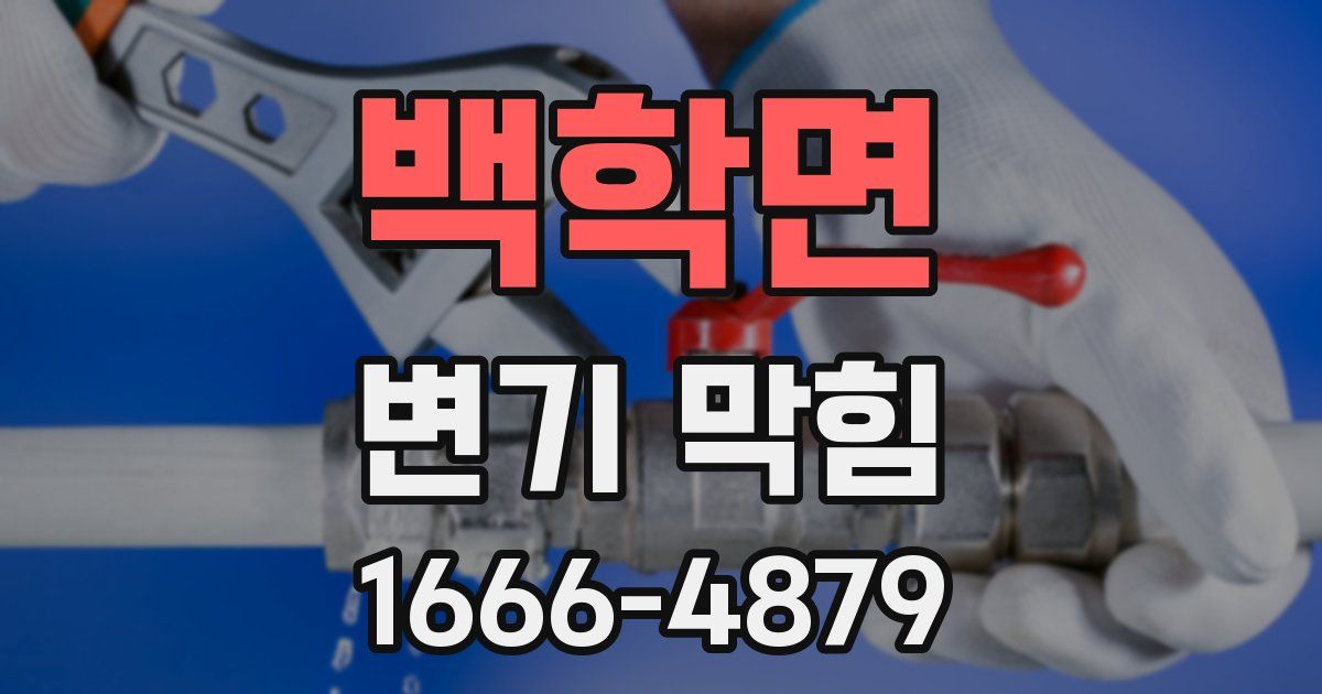 백학면 변기 막힘