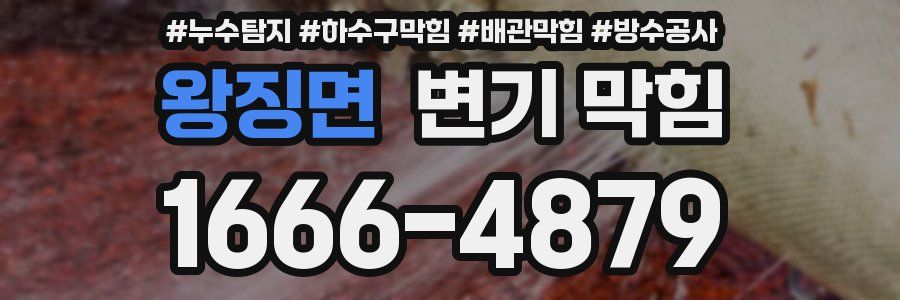 왕징면 변기 막힘