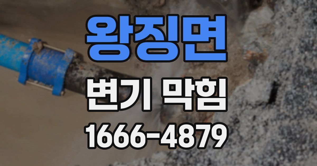 왕징면 변기 막힘