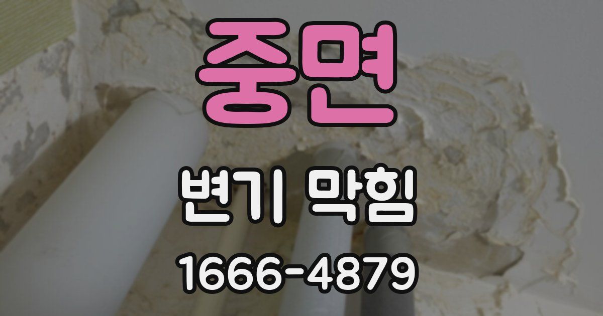 중면 변기 막힘