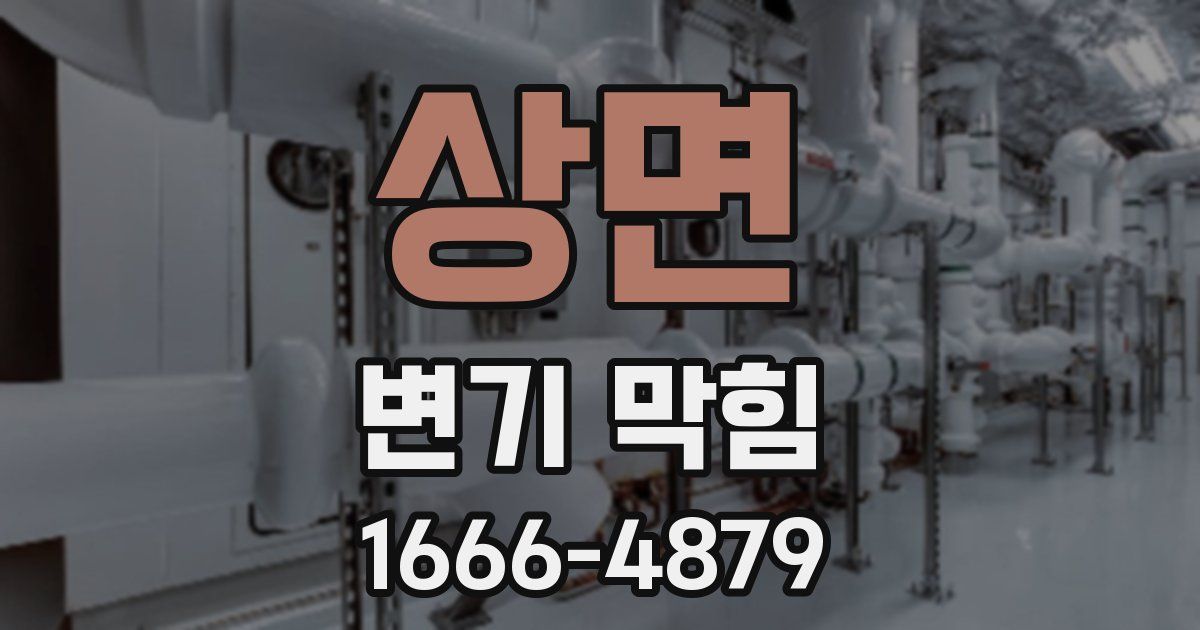 상면 변기 막힘