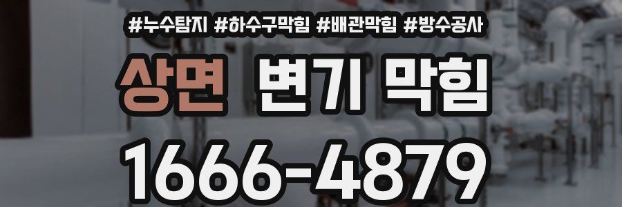 상면 변기 막힘