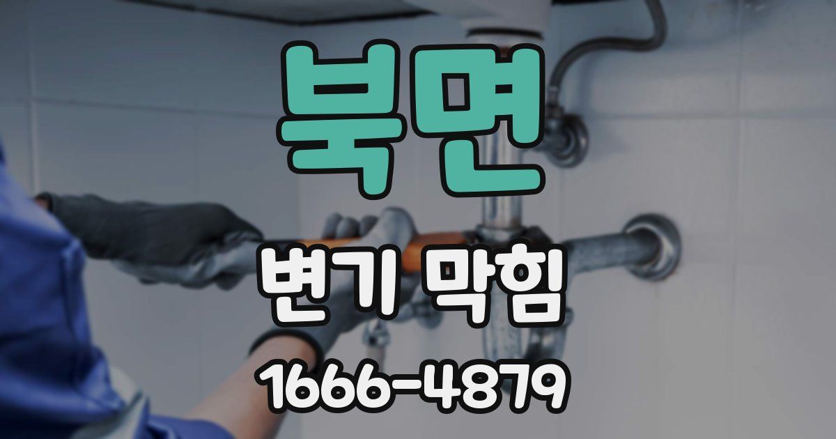 북면 변기 막힘