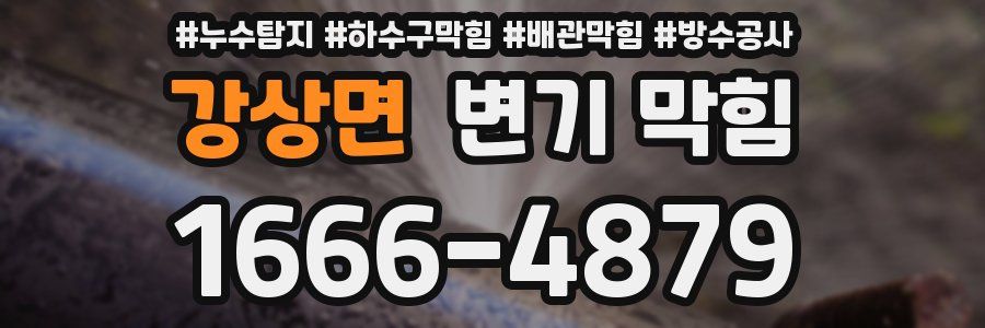 강상면 변기 막힘