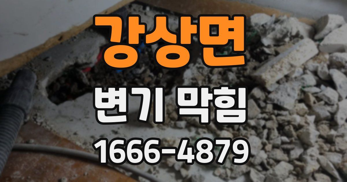 강상면 변기 막힘